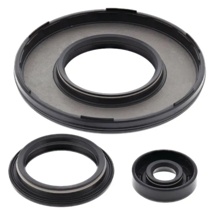 Vertex Engine Oil Seal Kit - 55229 1