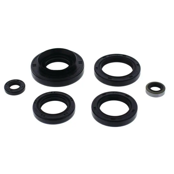 Vertex Engine Oil Seal Kit - 822366 1