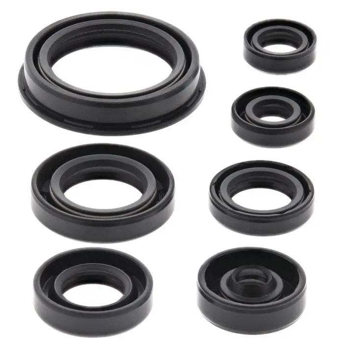 Vertex Engine Oil Seal Kit - 822690 1