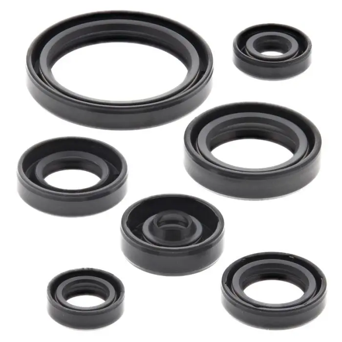 Vertex Engine Oil Seal Kit - 822692 1