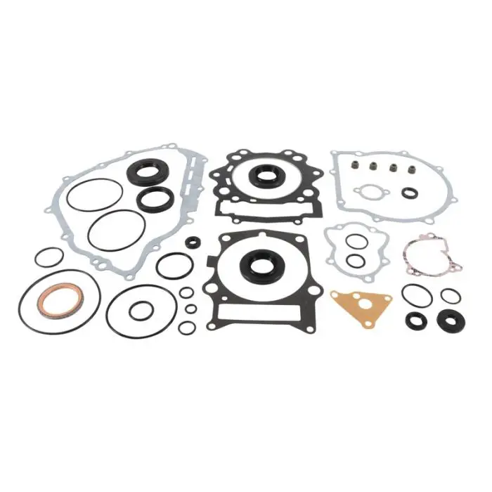Vertex Complete Gasket Kit Withoil Seals - 811960 1