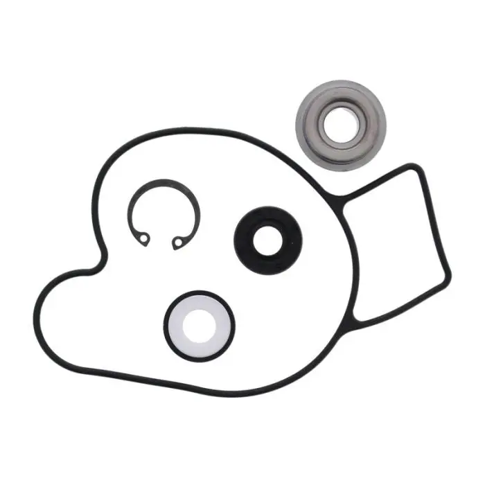 Vertex Water Pump Rebuild Kit - 721275 1