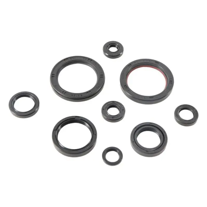 Vertex Engine Oil Seal Kit - 822989 1