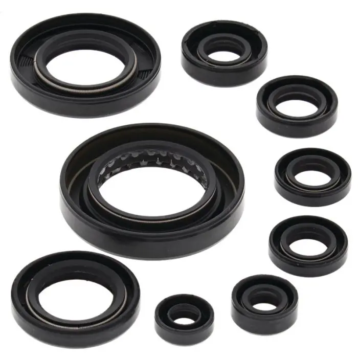 Vertex Engine Oil Seal Kit - 822351 1