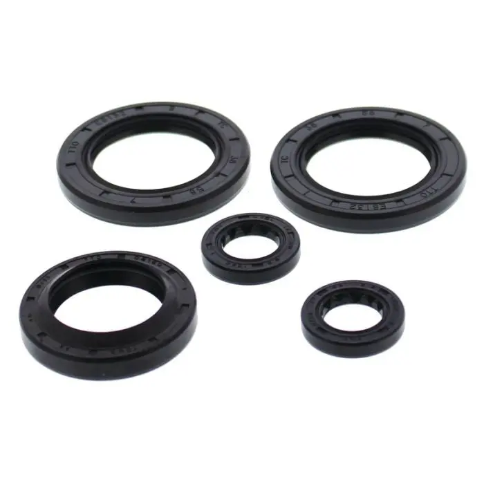 Vertex Engine Oil Seal Kit - 822144 1