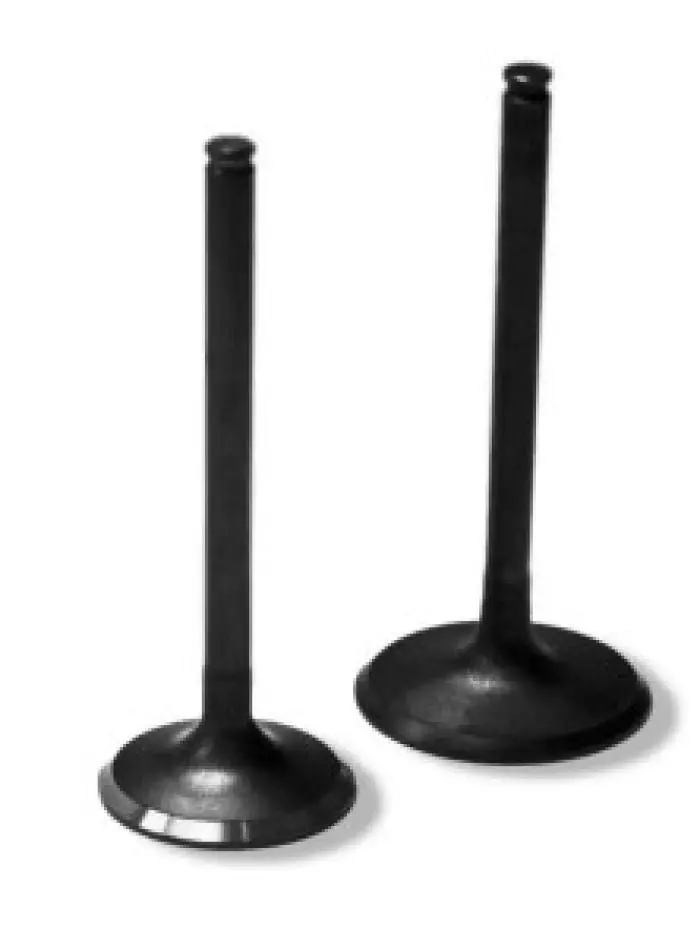 Bronco Exhaust Valve - Au-09232E 1