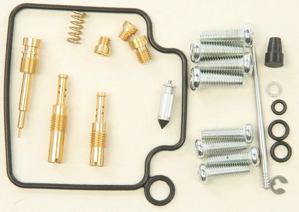 Carburetor Repair Kit - 226-1373 1