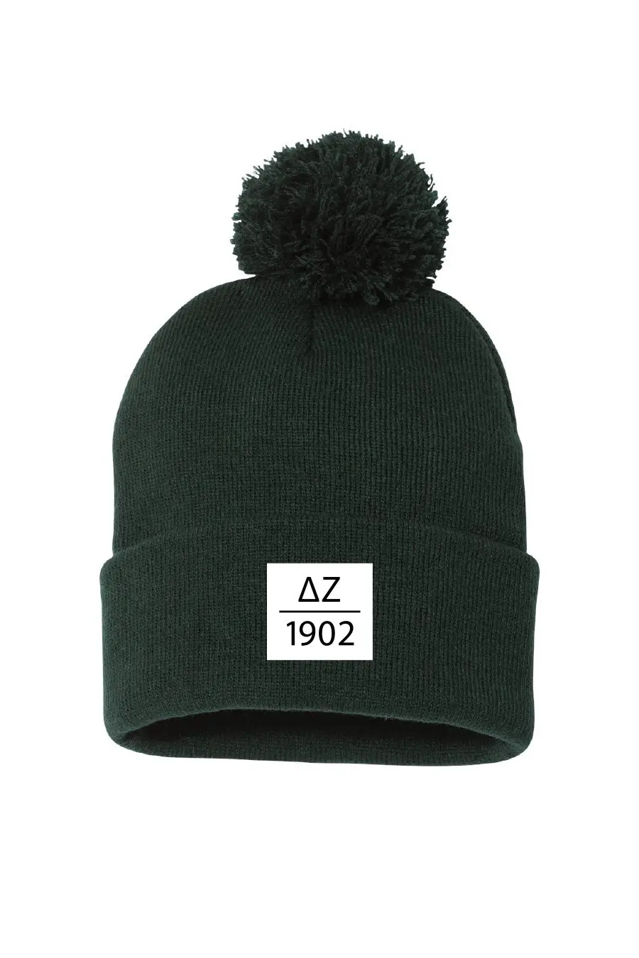 Established Beanie 1