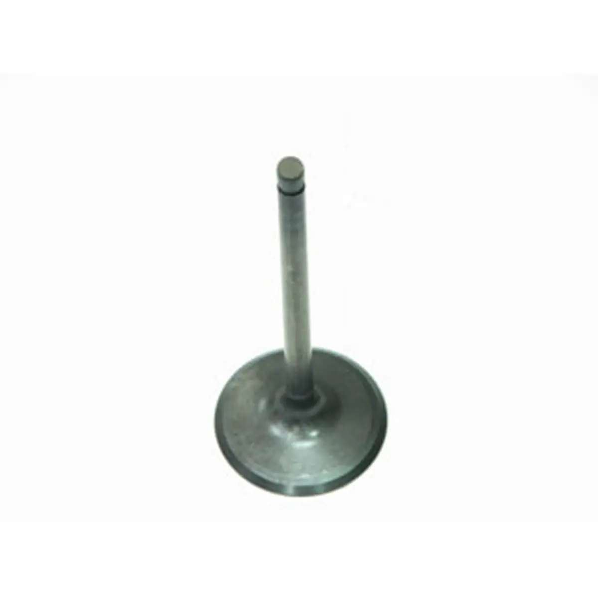 Bronco Atv Intake Valve - Au-09151I 1