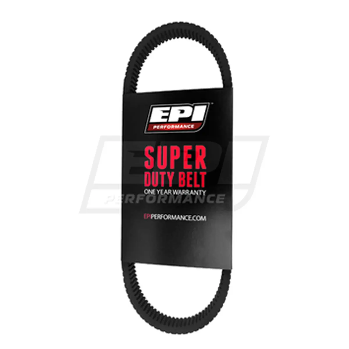 Epi Standard Belt - We262026 1