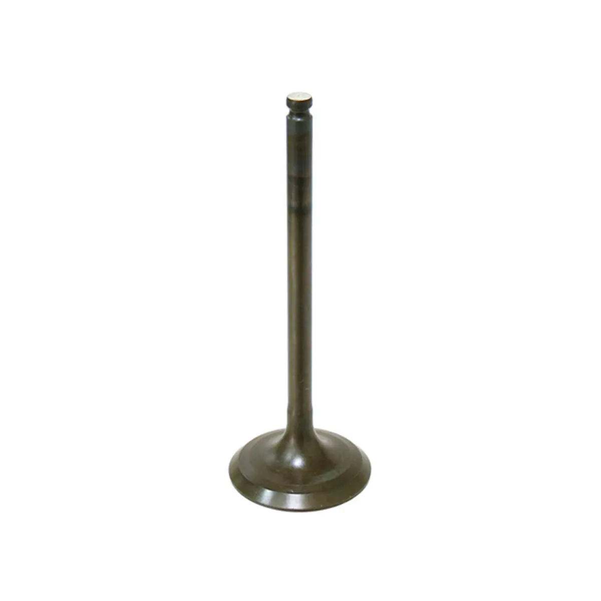 Bronco  Intake Valve, Pc - Au-09160I 1