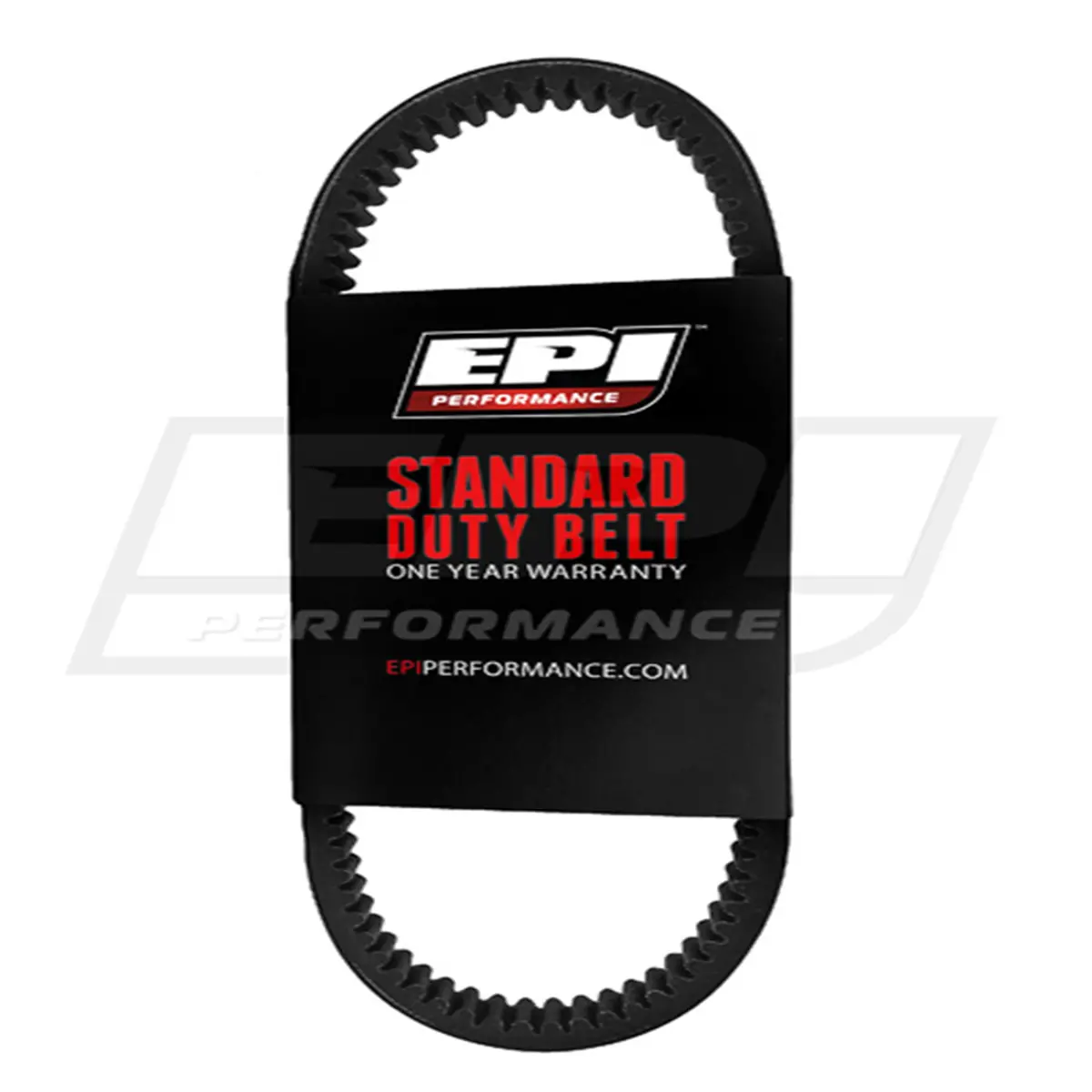 Epi Standard Belt - We263020 1