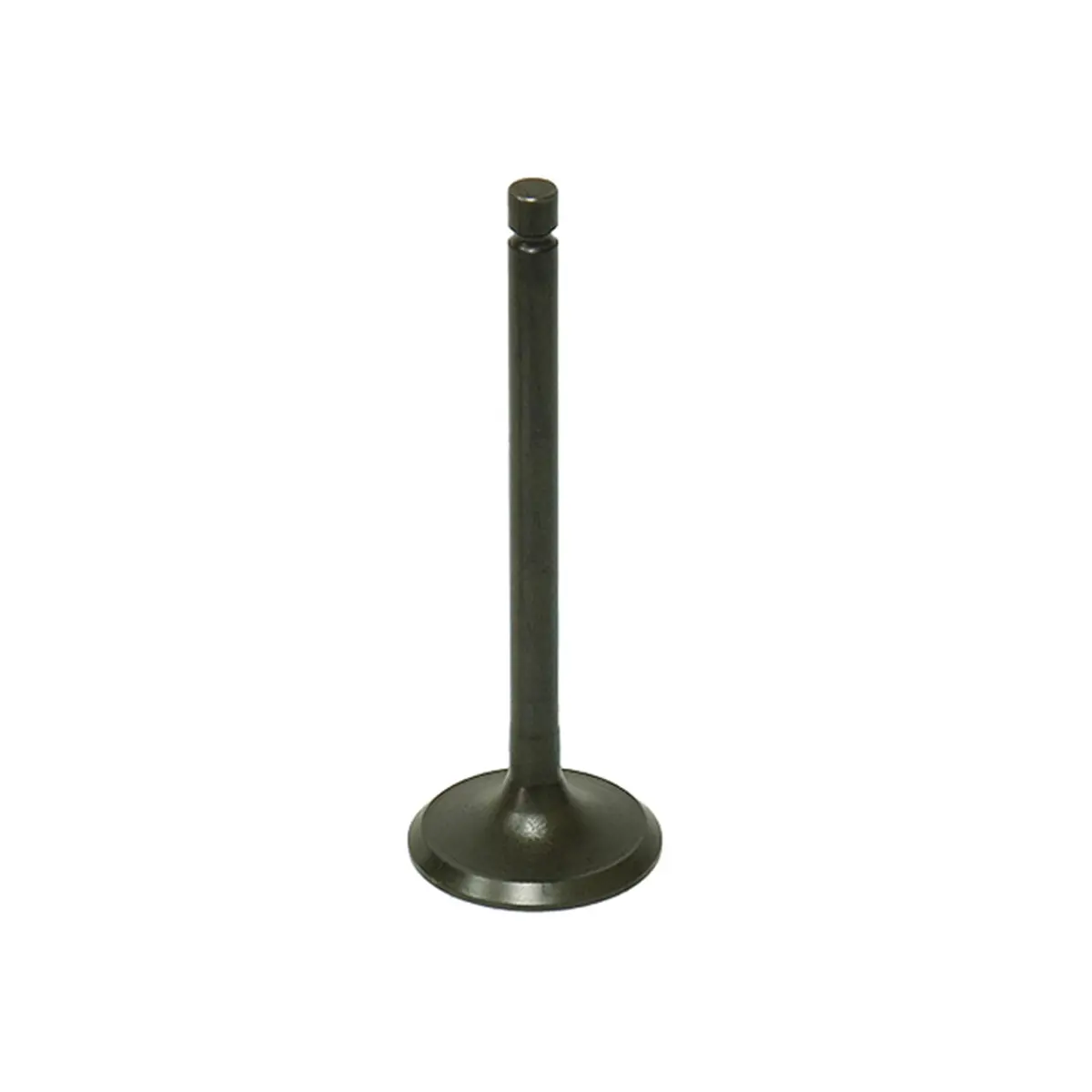Bronco Valve - Au-09191E 1