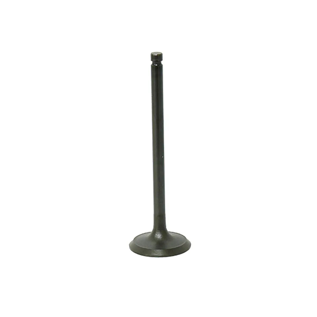 Bronco Valve - Au-09194E 1