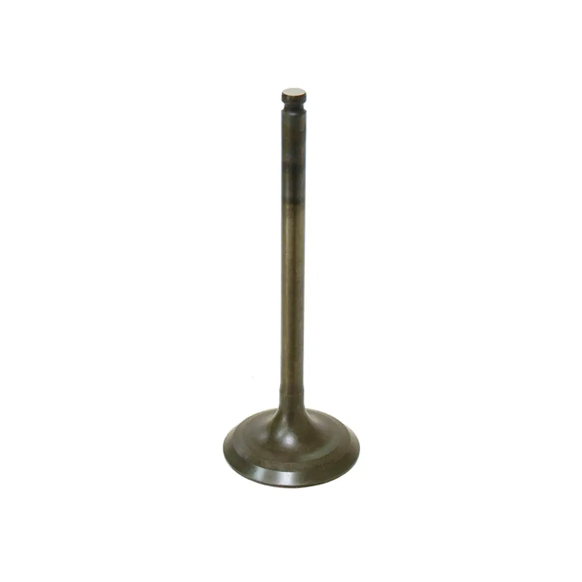 Bronco  Intake Valve, Pc - Au-09159I 1