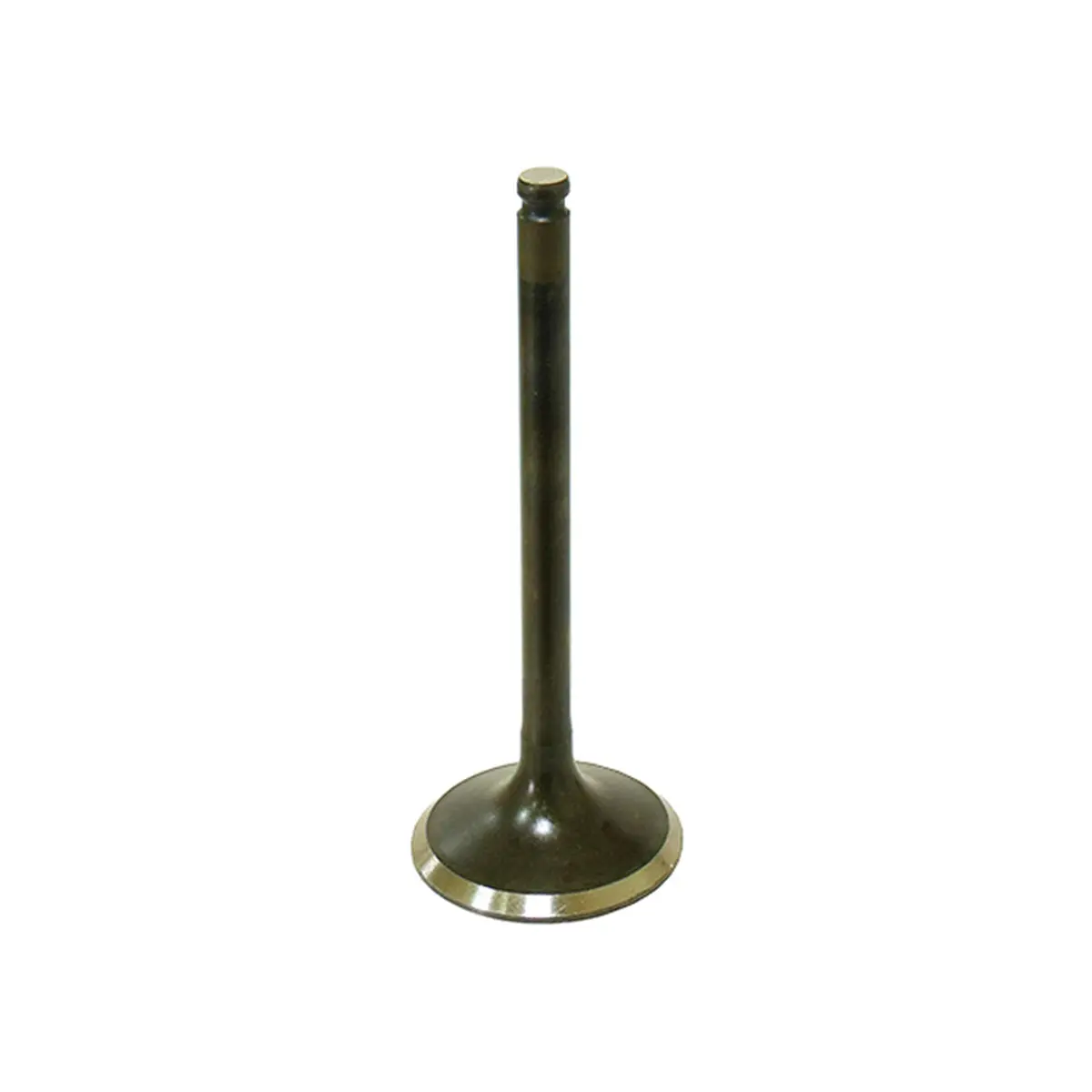 Bronco  Exhaust Valve, Pc - Au-09159E 1