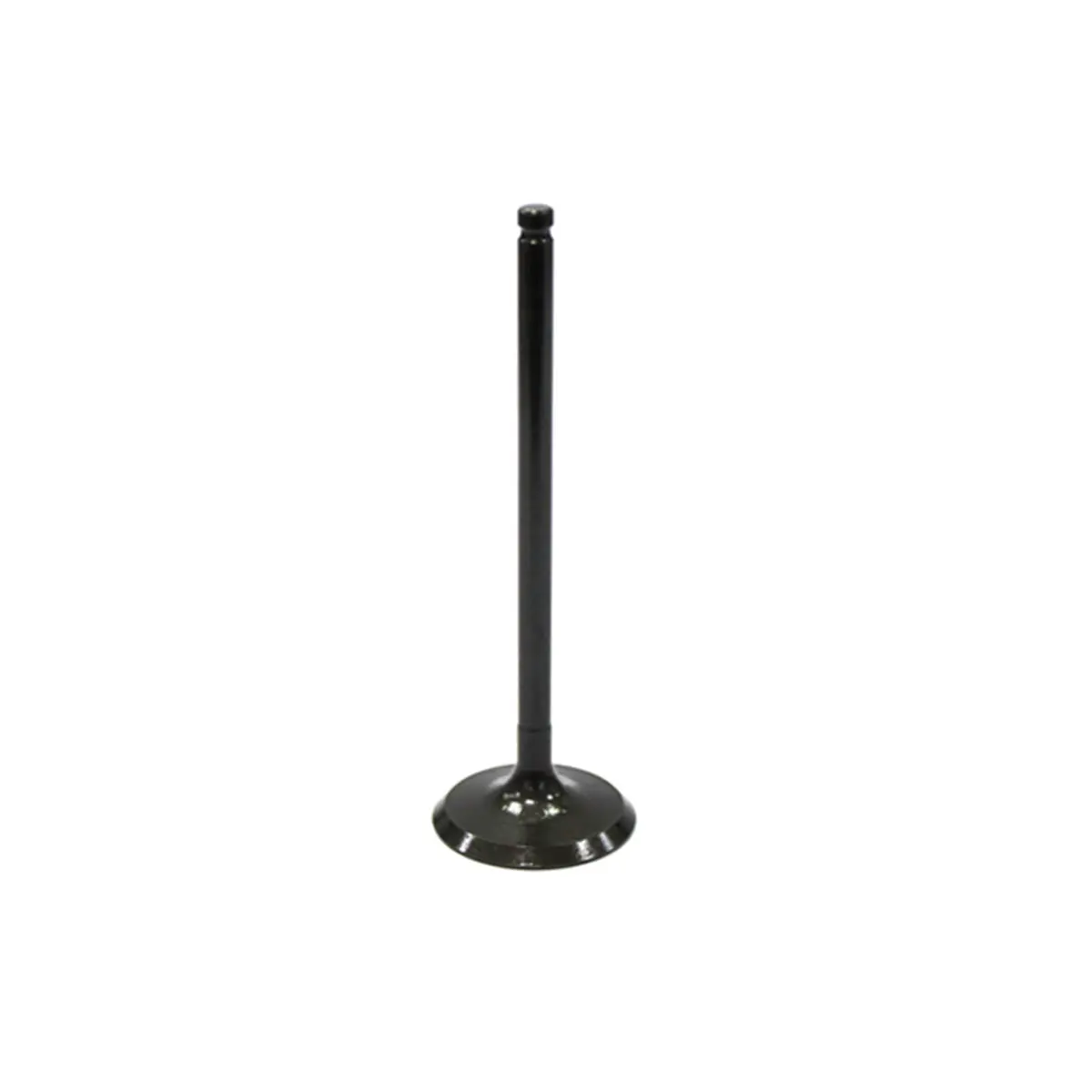 Bronco Atv Intake Valve - Au-09027I 1