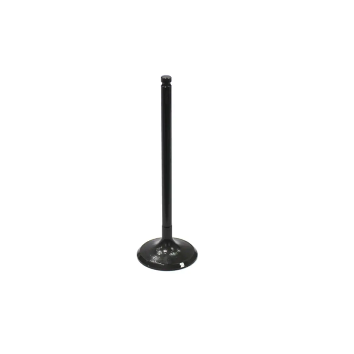 Bronco Atv Intake Valve - Au-09033I 1