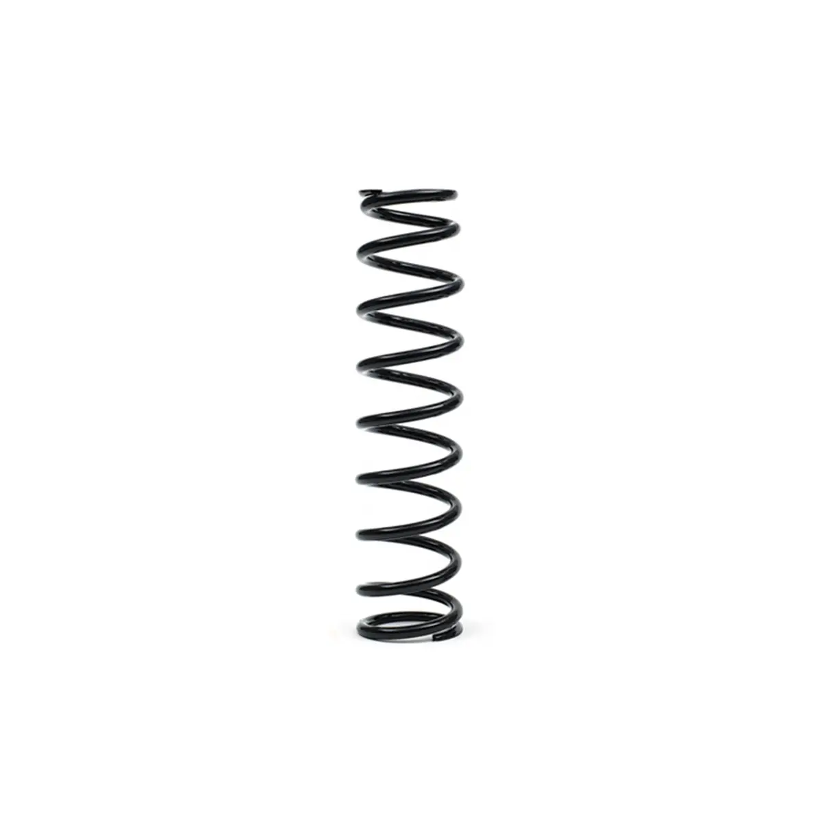 Epi Suspension Springs - We325123 1