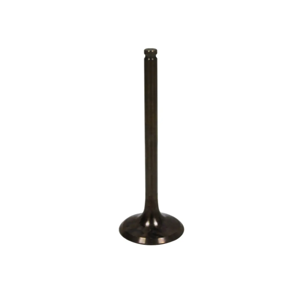Bronco Exhaust Valve - Au-09028E 1
