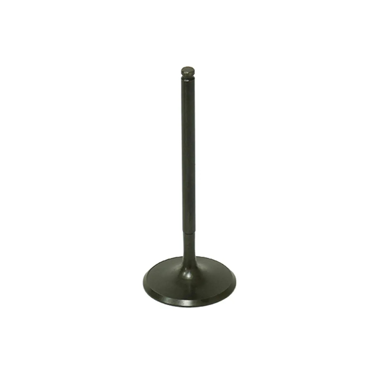 Bronco Valve - Au-09190I 1