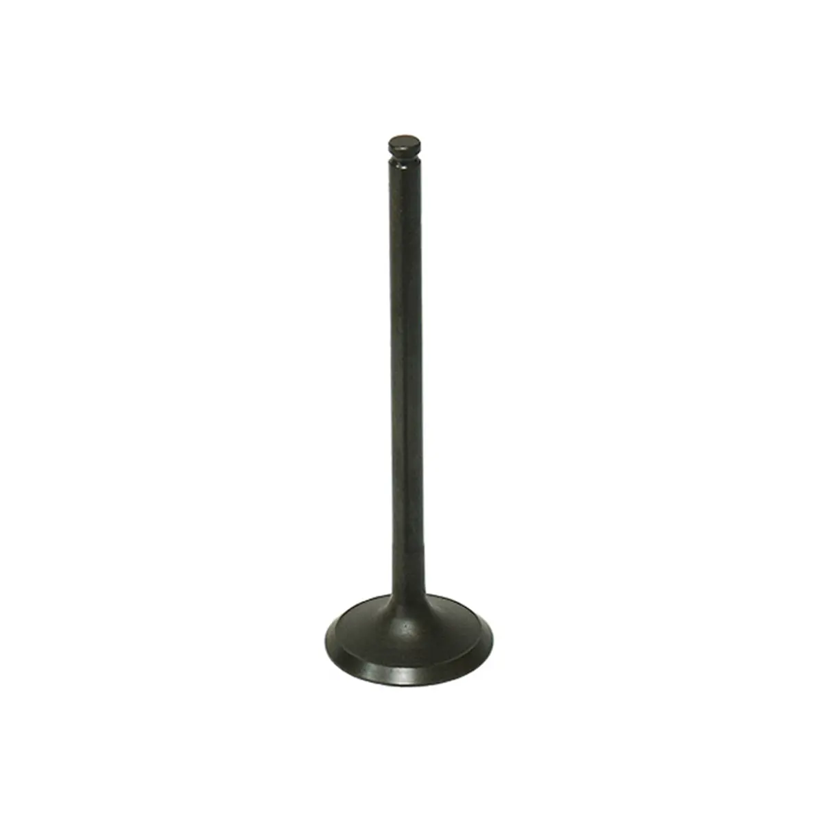 Bronco Valve - Au-09197E 1