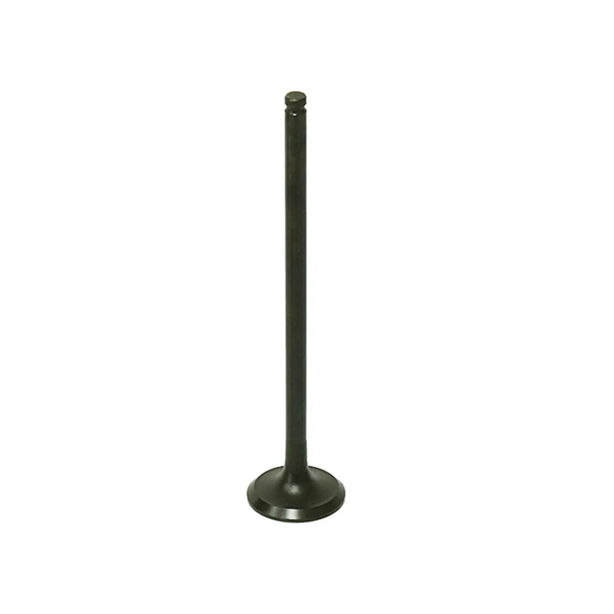Bronco Valve - Au-09192E 1
