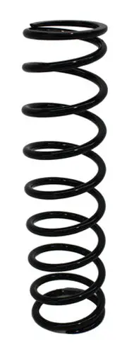 Front Suspension Spring Kawasaki - We325000 1