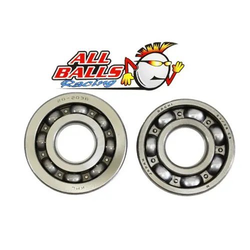 Crank Shaft Bearing Kit - 24-1053 1