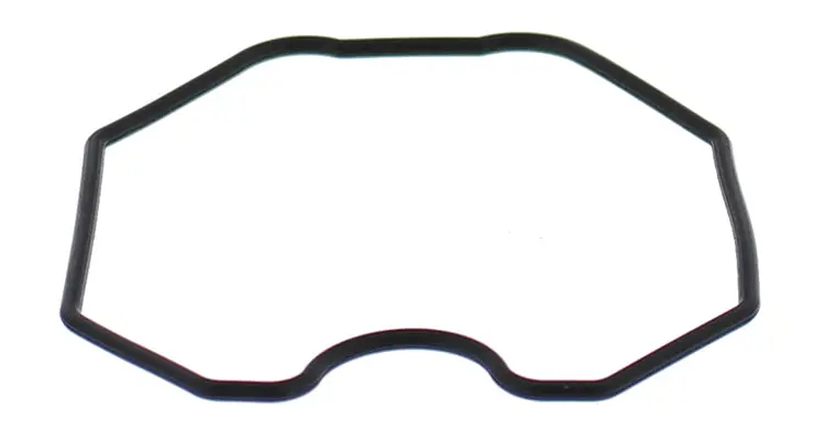 Float Bowl Gasket Only - 246-5010 1