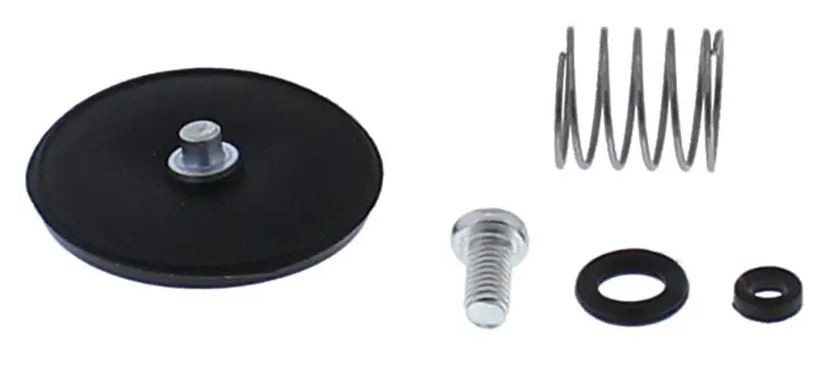 Accel. Pump Rebuild Kit - 246-3007 1