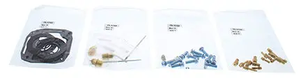 Carburetor Rebuild Kit - 141-8971 1