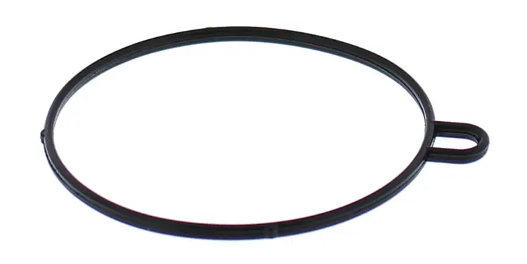 Float Bowl Gasket Only - 246-5008 1