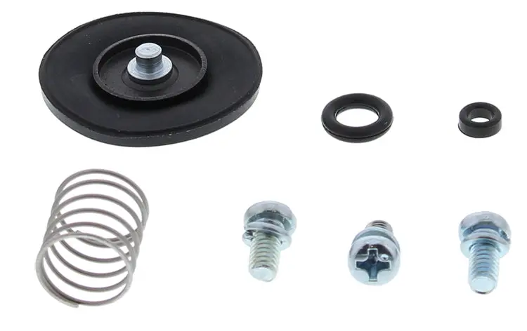 Accel. Pump Rebuild Kit - 246-3001 1
