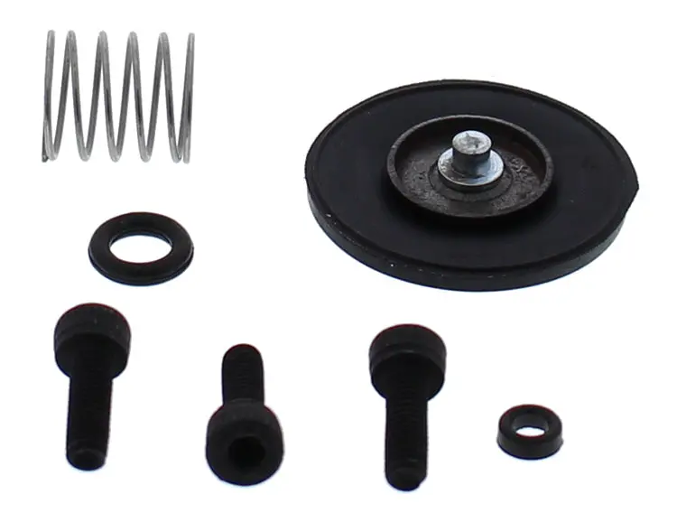 Accel. Pump Rebuild Kit - 246-3008 1