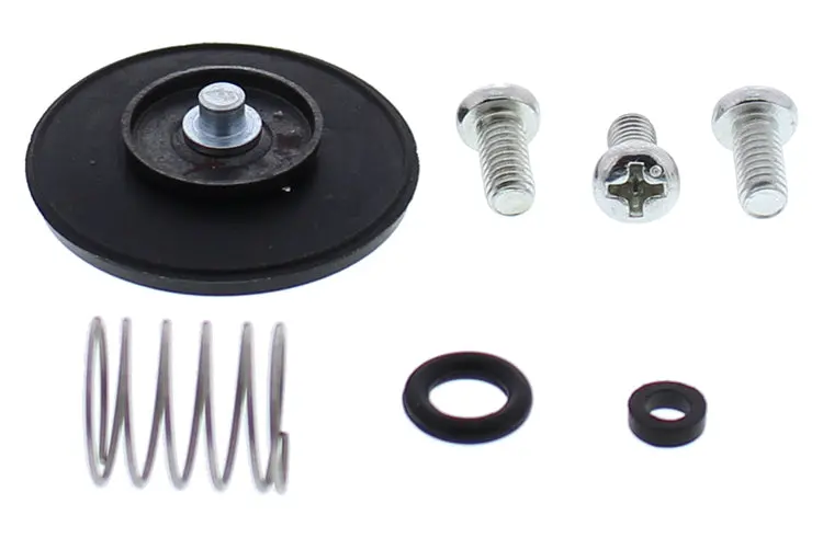 Accel. Pump Rebuild Kit - 246-3005 1