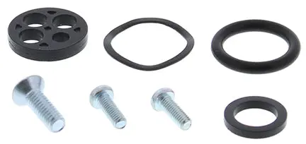 Fuel Tap Repair Kit - 260-1009 1