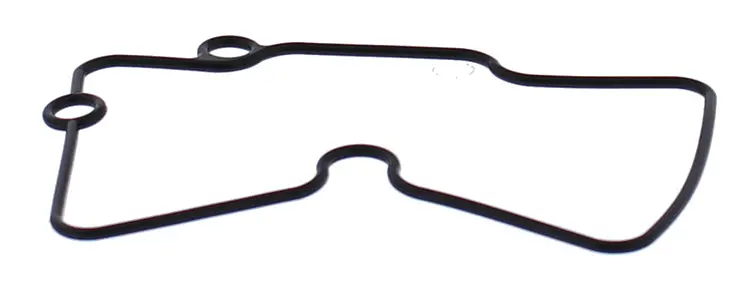 Float Bowl Gasket Only - 246-5021 1