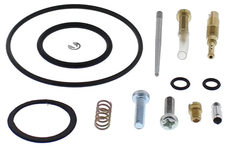 Carburetor Repair Kit - 226-1756 1