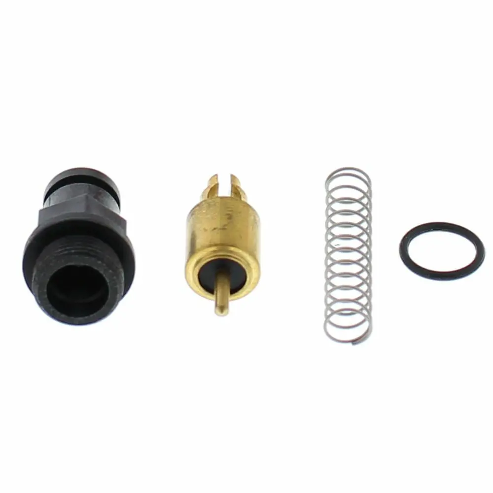 Choke Plunger Kit - 246-1056 1