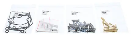 Bike Carburetor Rebuild Kit - 226-1690 1