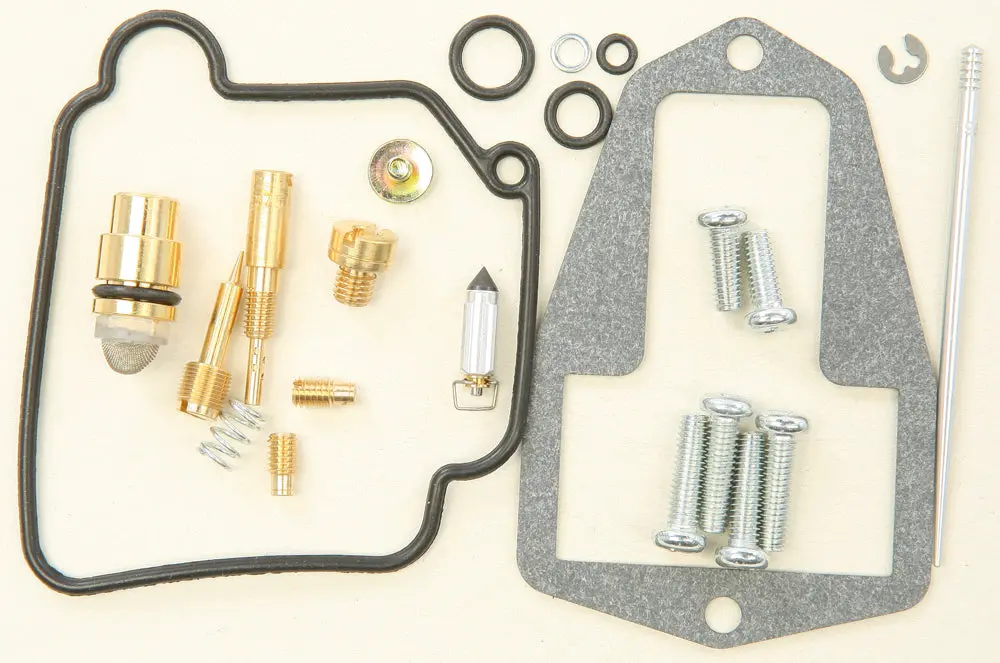 Bike Carburetor Rebuild Kit - 226-1493 1
