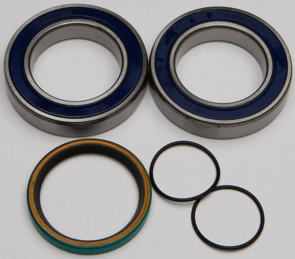 Chain Case Bearing & Seal Kit - 141-9035 1