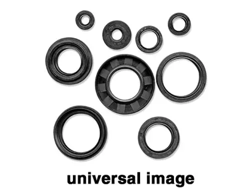 Vertex Jet Pump Seal Kit - 623101 1