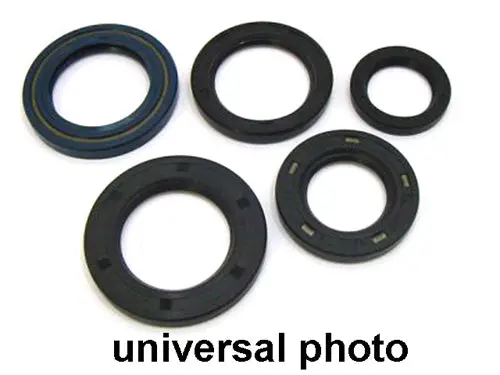 Vertex Engine Oil Seal Kit - 822327 1