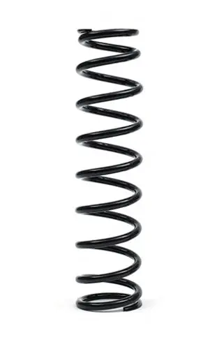 Front Suspension Spring Polaris - We325112 1