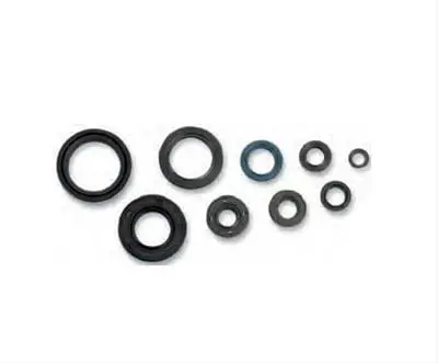 Cometic Powersports Oil Seal Kit – C3187Os 1